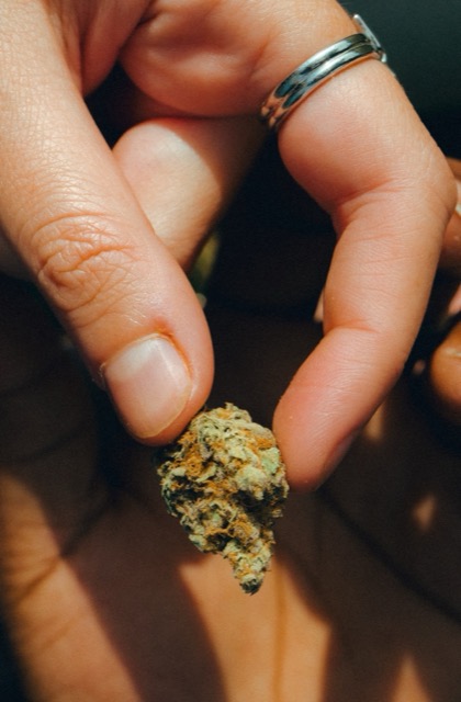 A close-up of a cannabis bud held between fingertips.