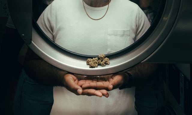 Cannabis flower resting on a circular washing-machine door above cupped hands.