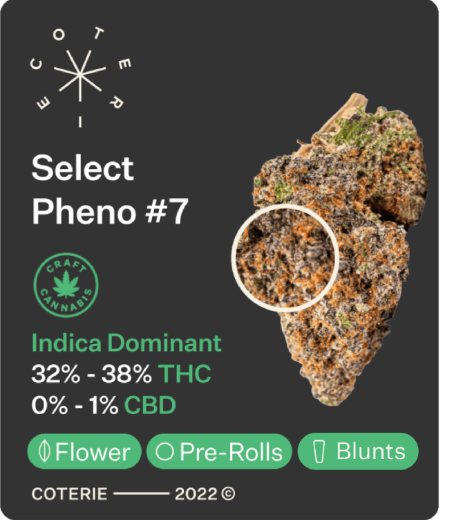 Coterie Cannabis Product - Pheno #7